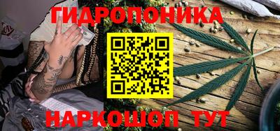 jwh Нальчик