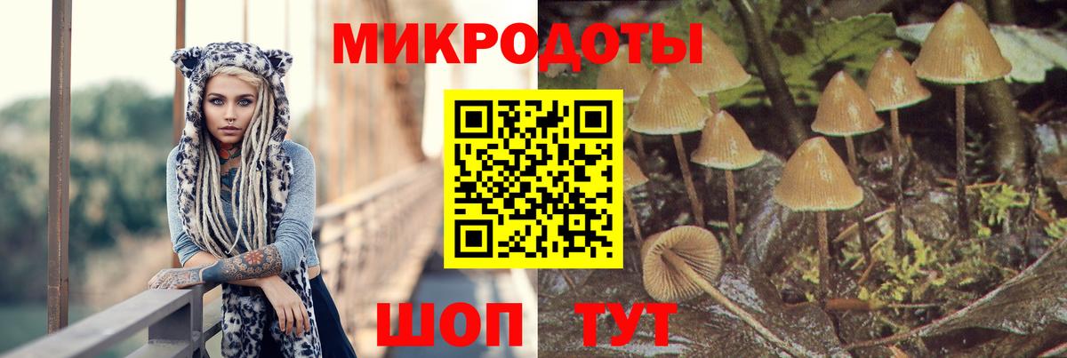 Псилоцибиновые грибы Psilocybine cubensis Тулун